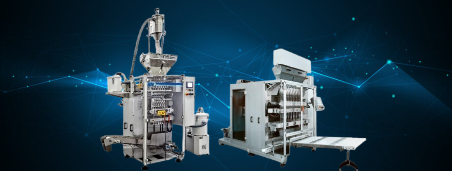 Vidalı Paketleme Makinesi